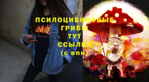 кокс Дмитриев