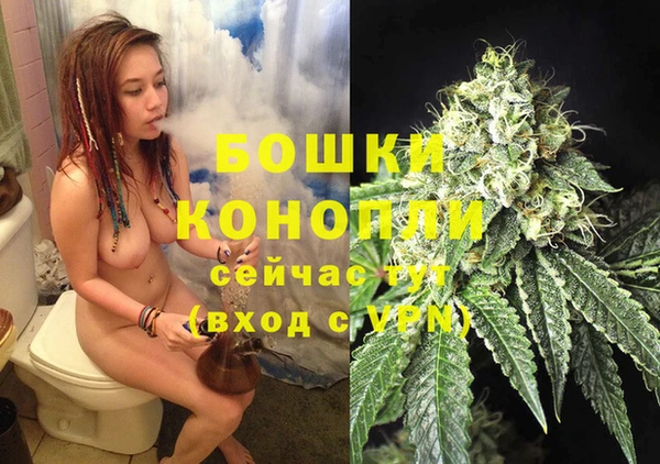 дживик Дмитровск