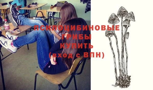 дживик Дмитровск