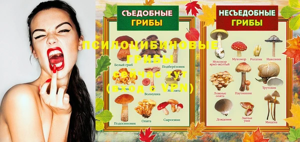 кокс Дмитриев